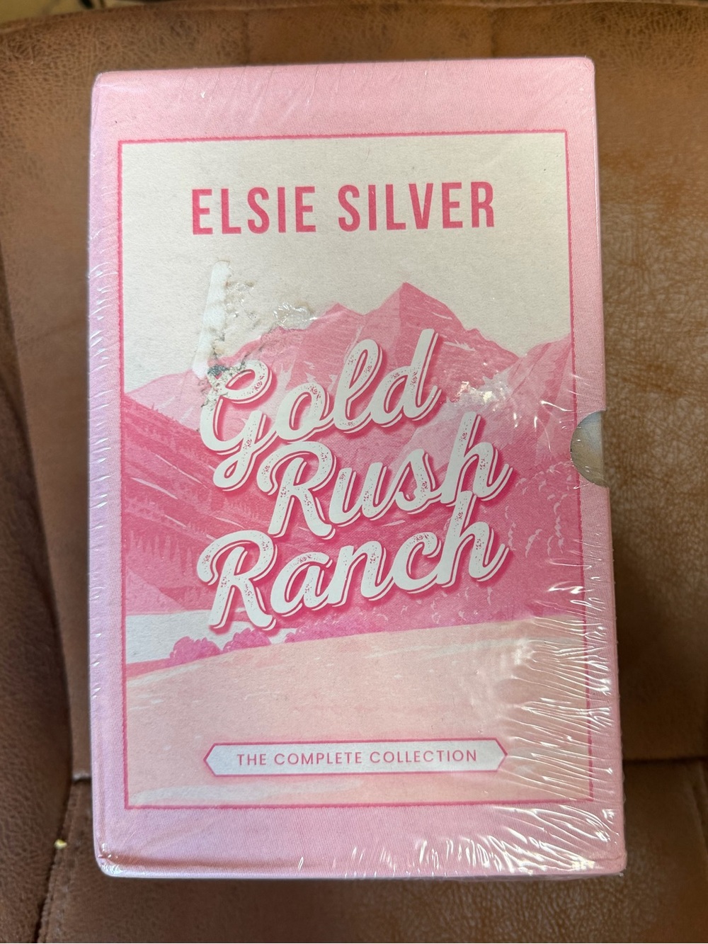 Gold Rush Ranch Series Books - Elsie Silver Books